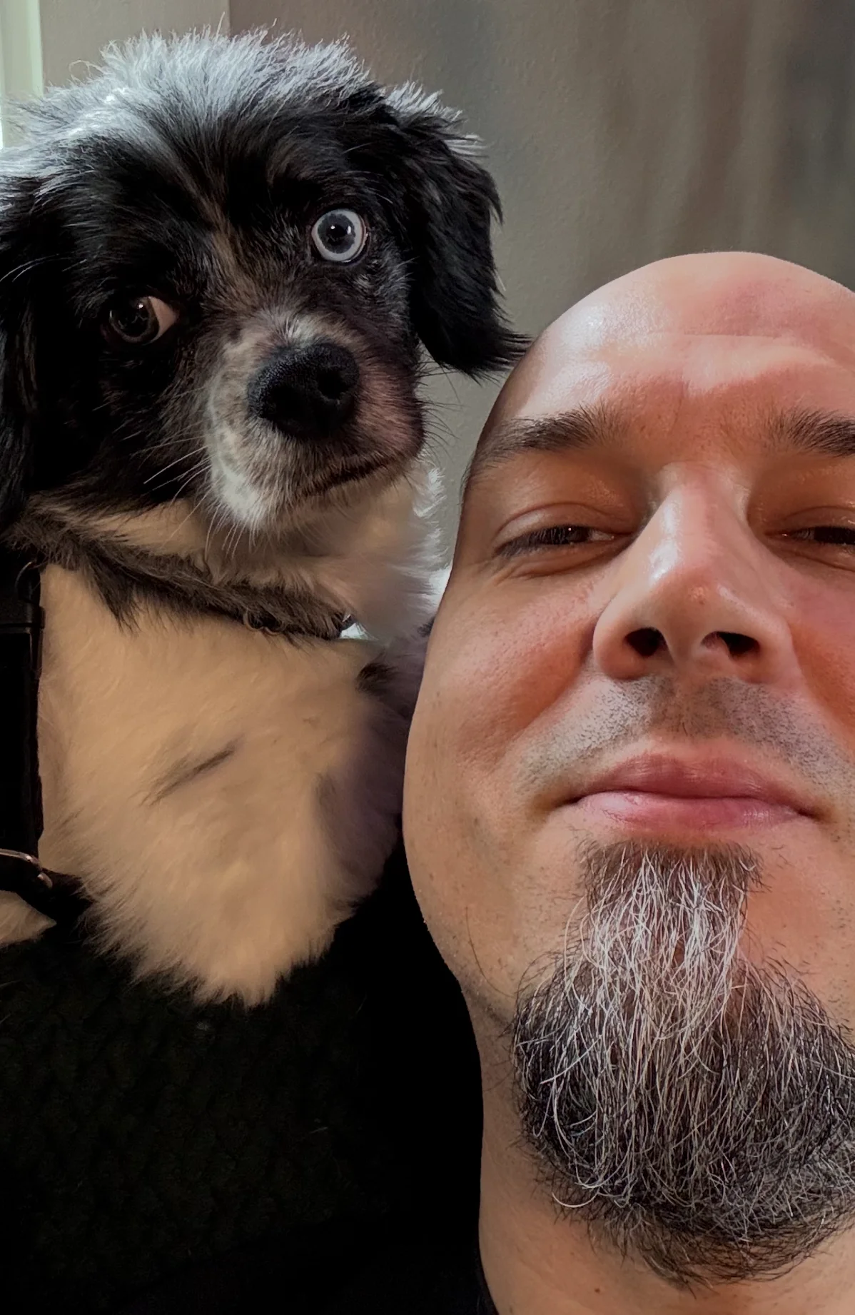 Anthony with Lanegan showing heterochromia